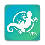 linkvpn android application logo